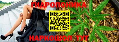трава Северобайкальск