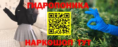 трава Северобайкальск