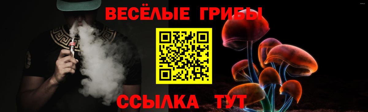 Полевской  Галлюциногенные грибы Psilocybe  Вход с VPN 